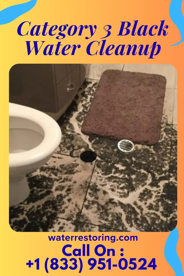 Category 3 Black Water Cleanup in Ellston, IA