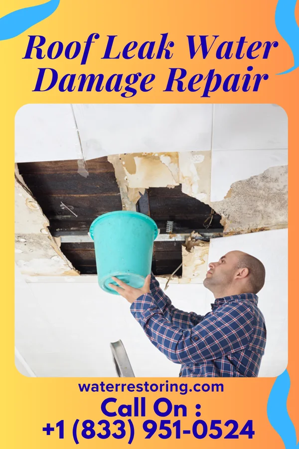 Roof Leak Water Damage Repair in Ellston, IA