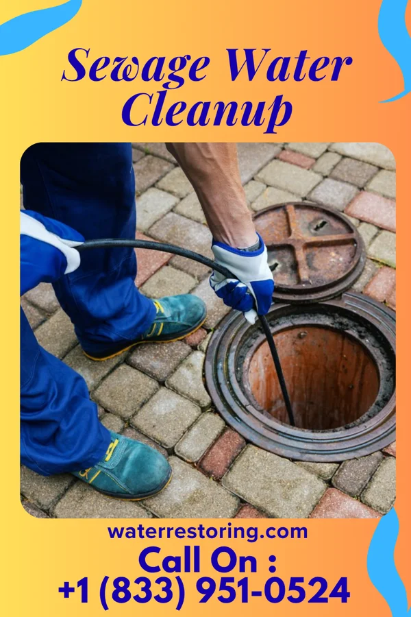 Sewage Water Cleanup in Ellston, IA
